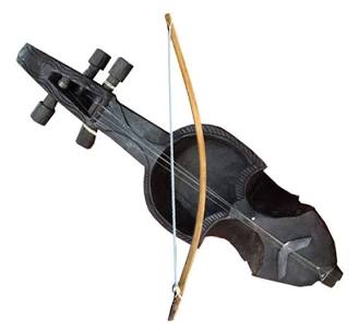 Sarangi - View 2